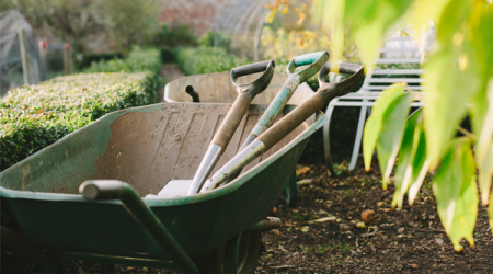gardening & landscaping services