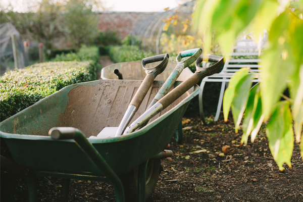 gardening & landscaping services